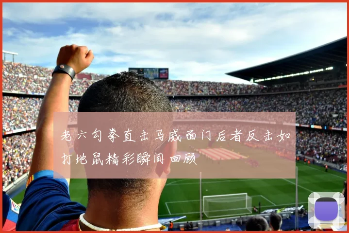 老六勾拳直击马威面门后者反击如打地鼠精彩瞬间回顾