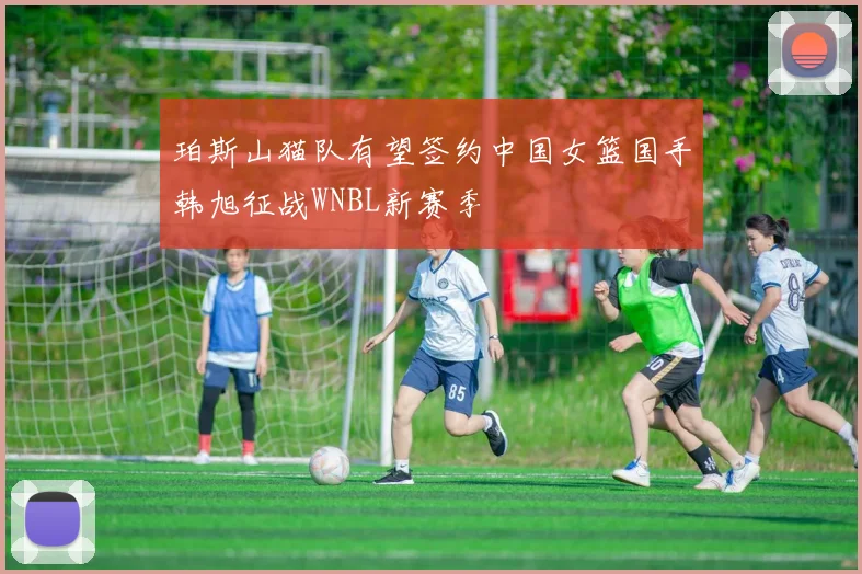 珀斯山猫队有望签约中国女篮国手韩旭征战WNBL新赛季
