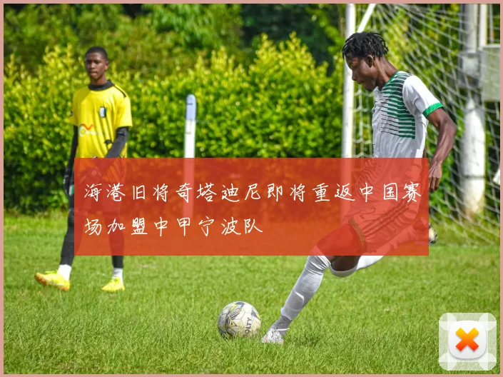 海港旧将奇塔迪尼即将重返中国赛场加盟中甲宁波队