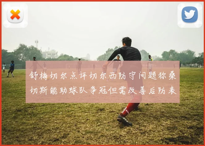 舒梅切尔点评切尔西防守问题称桑切斯能助球队争冠但需改善后防表现