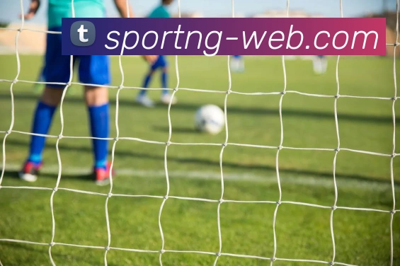 南宫体育服务体系